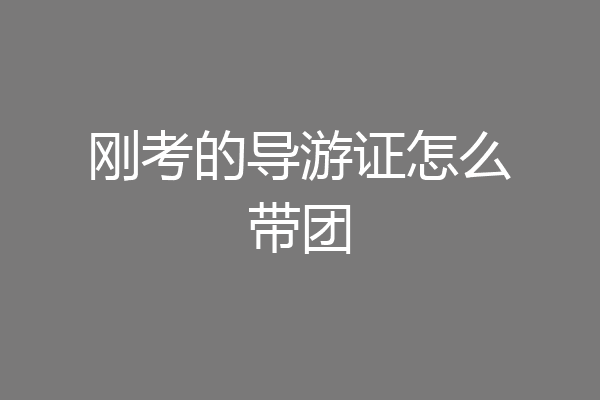 刚考的导游证怎么带团