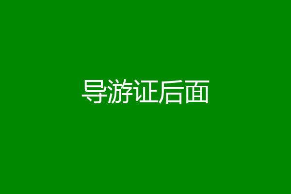 导游证后面