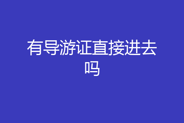有导游证直接进去吗
