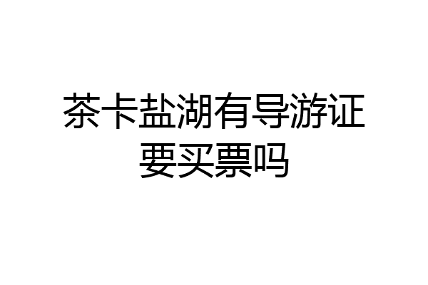 茶卡盐湖有导游证要买票吗