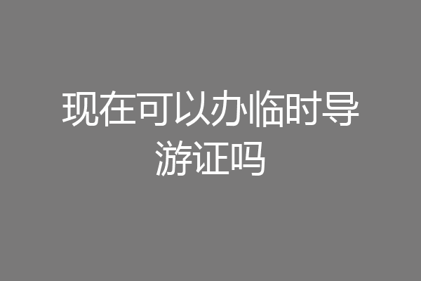 现在可以办临时导游证吗