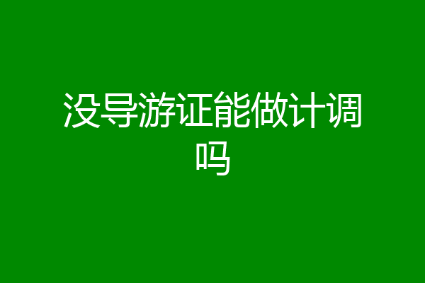 没导游证能做计调吗