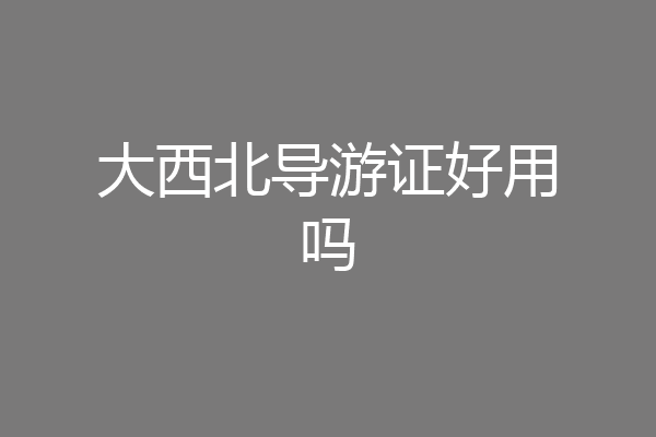 大西北导游证好用吗