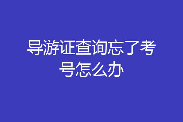 导游证查询忘了考号怎么办