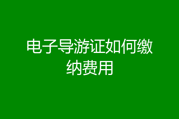 电子导游证如何缴纳费用