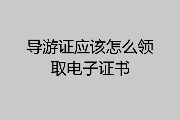 导游证应该怎么领取电子证书
