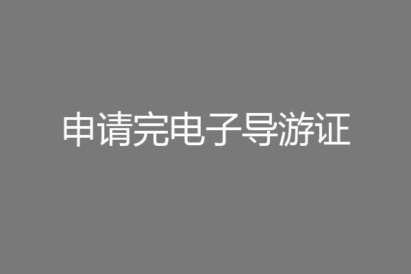 申请完电子导游证