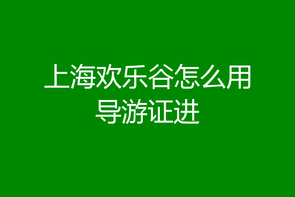 上海欢乐谷怎么用导游证进