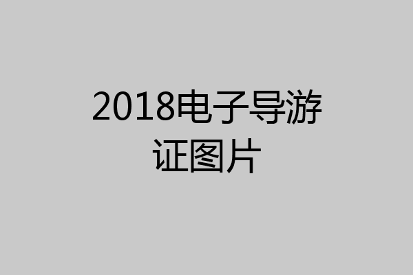 2018电子导游证图片