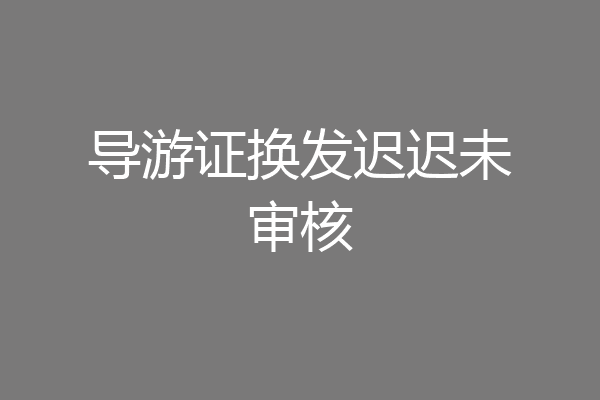 导游证换发迟迟未审核