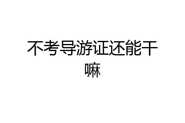 不考导游证还能干嘛