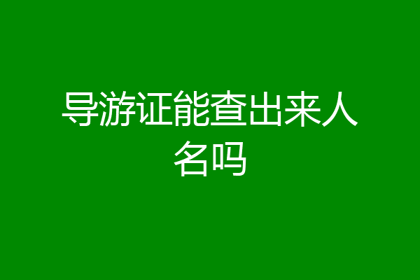 导游证能查出来人名吗