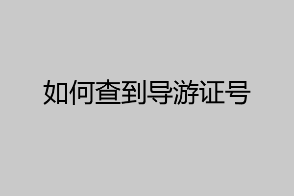 如何查到导游证号