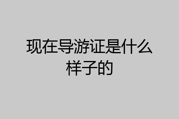 现在导游证是什么样子的