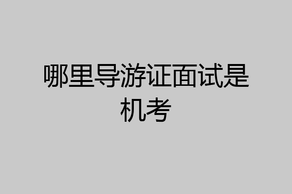 哪里导游证面试是机考