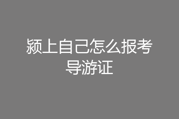 颍上自己怎么报考导游证