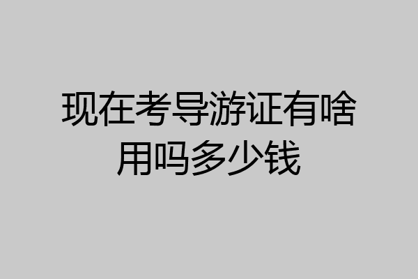 现在考导游证有啥用吗多少钱