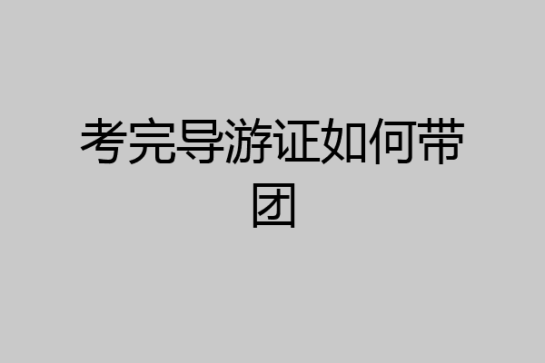 考完导游证如何带团