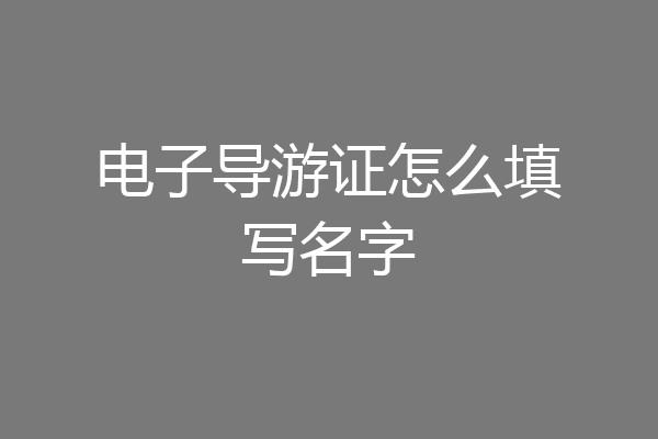电子导游证怎么填写名字