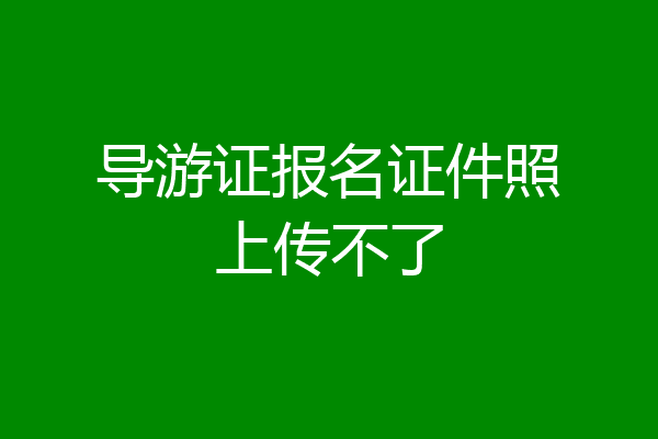 导游证报名证件照上传不了
