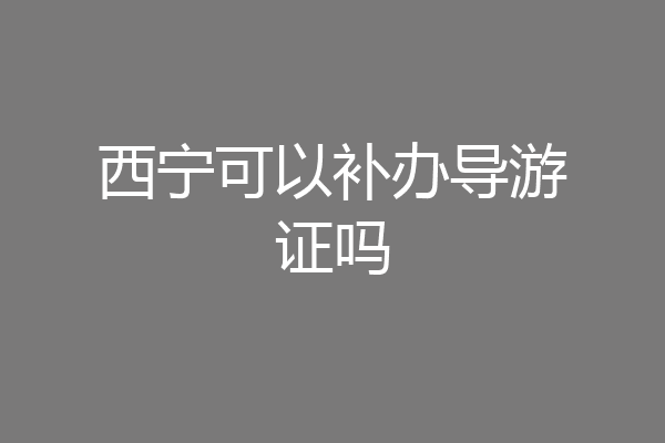 西宁可以补办导游证吗