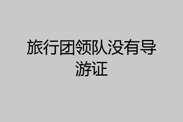 旅行团领队没有导游证