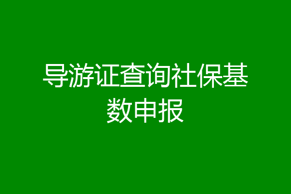 导游证查询社保基数申报