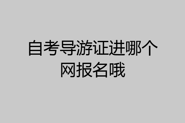 自考导游证进哪个网报名哦