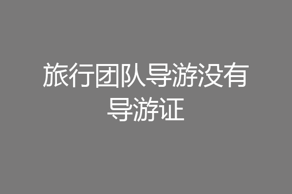 旅行团队导游没有导游证