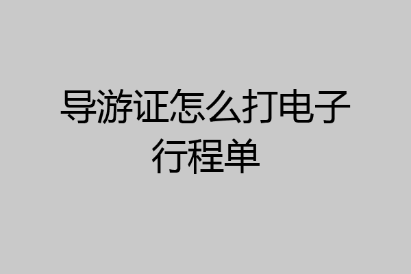 导游证怎么打电子行程单