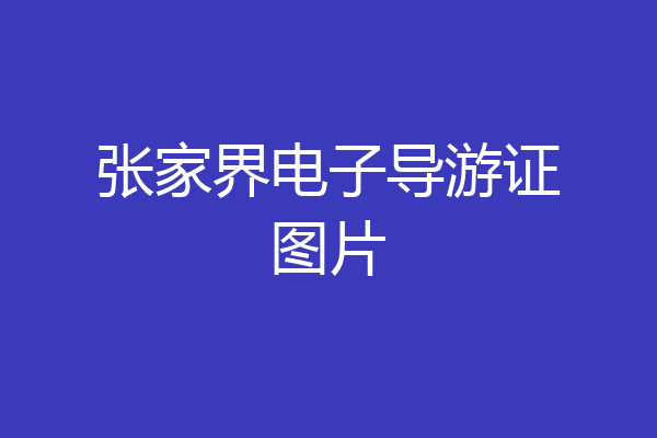 张家界电子导游证图片