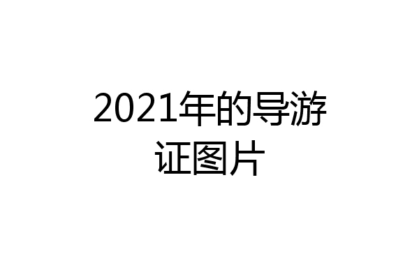 2021年的导游证图片