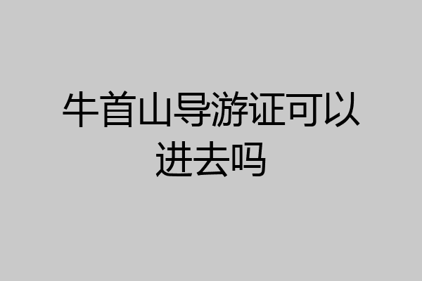 牛首山导游证可以进去吗