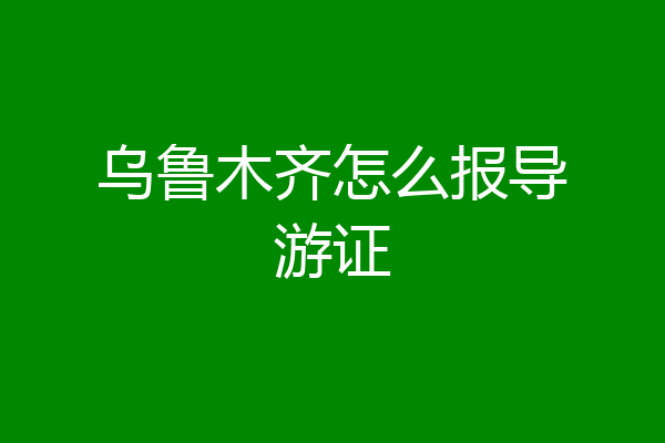 乌鲁木齐怎么报导游证