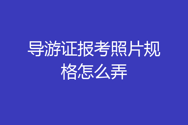 导游证报考照片规格怎么弄