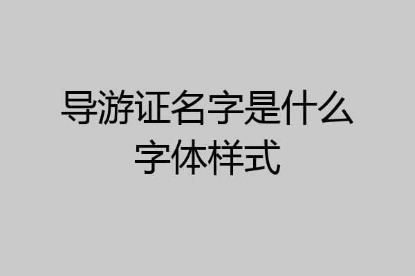 导游证名字是什么字体样式