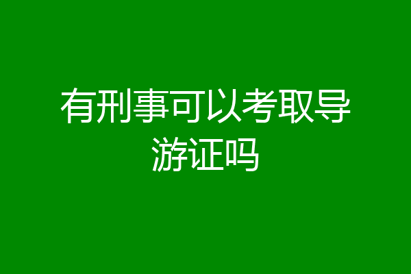 有刑事可以考取导游证吗