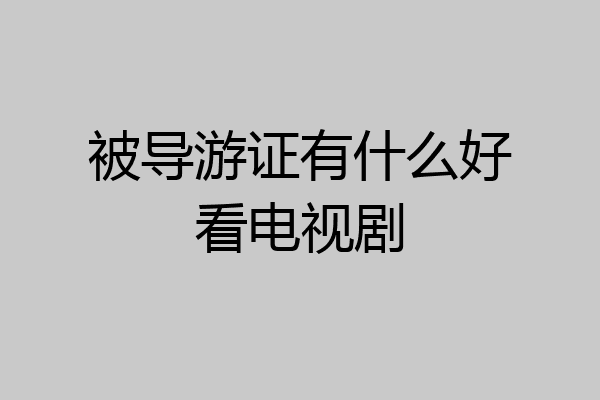 被导游证有什么好看电视剧
