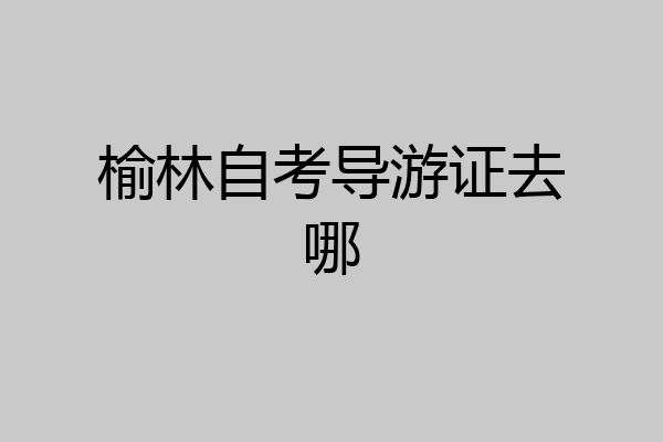 榆林自考导游证去哪
