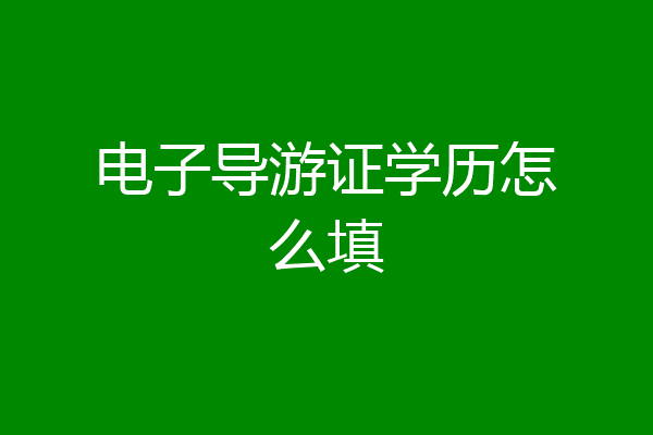 电子导游证学历怎么填