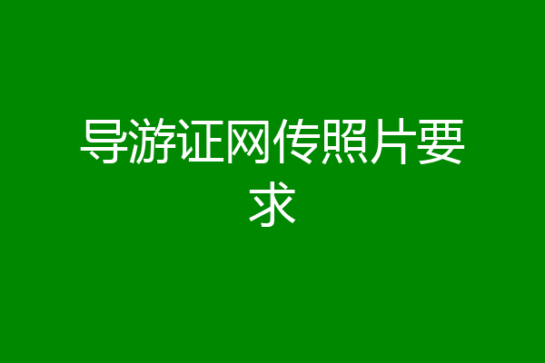 导游证网传照片要求