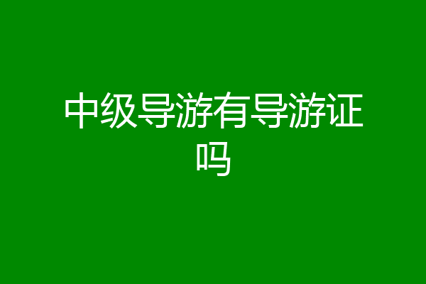 中级导游有导游证吗