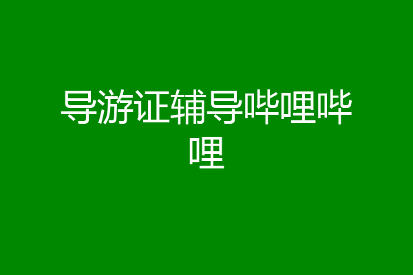 导游证辅导哔哩哔哩