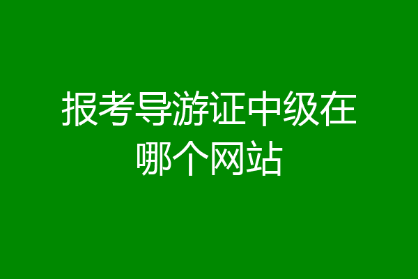 报考导游证中级在哪个网站