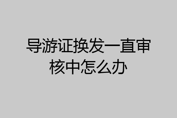 导游证换发一直审核中怎么办