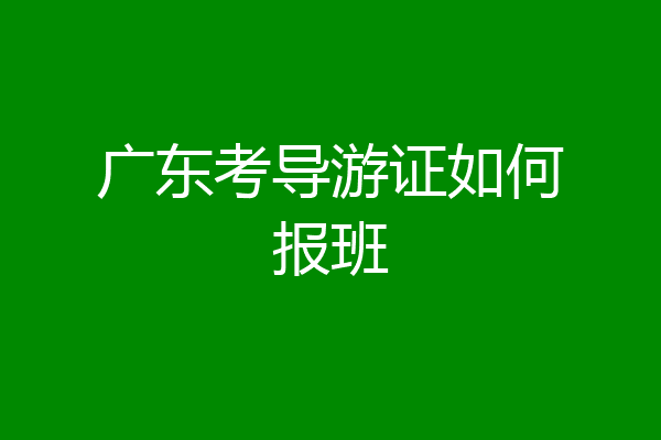 广东考导游证如何报班