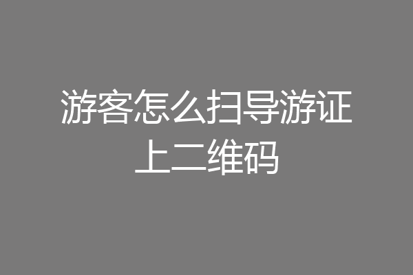 游客怎么扫导游证上二维码