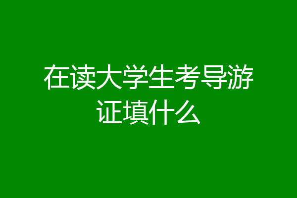 在读大学生考导游证填什么
