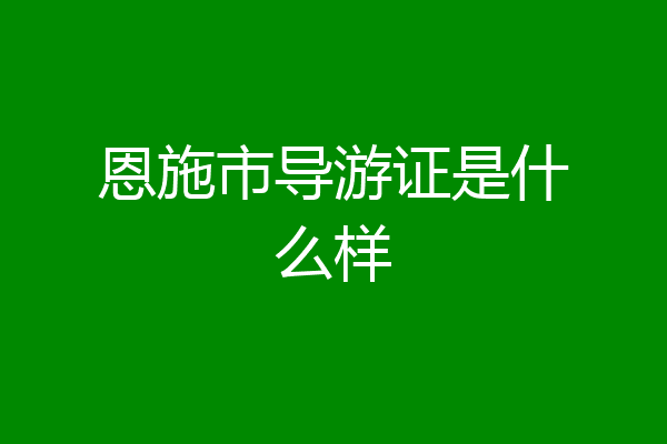 恩施市导游证是什么样