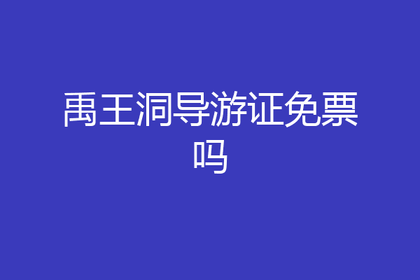 禹王洞导游证免票吗